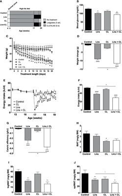 Liraglutide Activates Type 2 Deiodinase and Enhances β3-Adrenergic-Induced Thermogenesis in Mouse Adipose Tissue